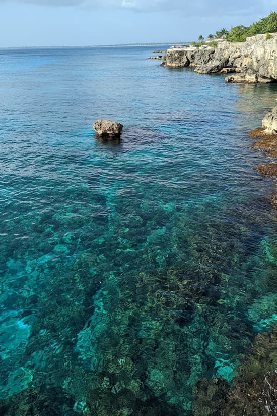 Snorkeling reef in clear water beside the cliffs on Negril's West End